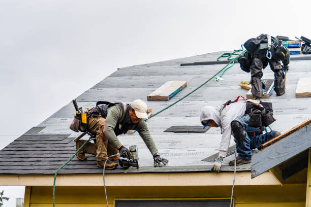Professional Storm Damage Roof Repair technician working in Montpelier, IA